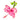 Hibiskus