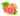 Grapefruitschale