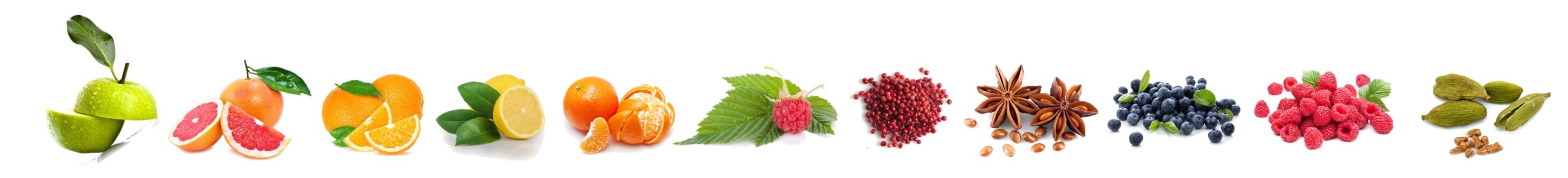 Ginmacher_Botanical_Footer